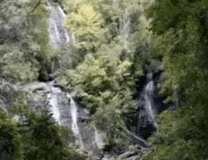 rural