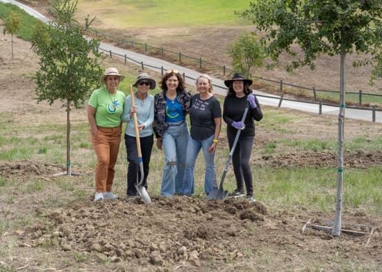 Arbor day tree planting by CCL volunteers
